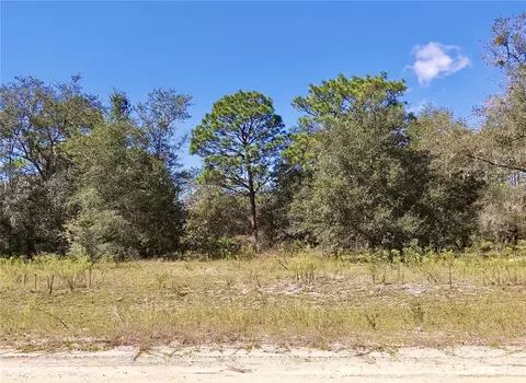 Dunham Ave, Interlachen, FL 32148
