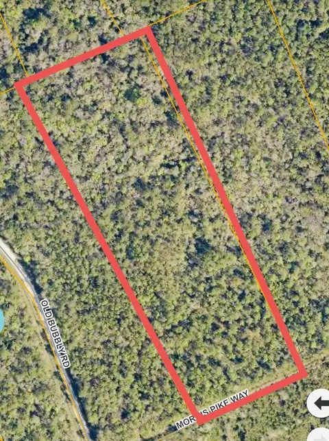 980 Morris Pike Way, Pierson, FL 32180
