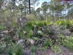 46 Erma Ave, Debary, FL 32713