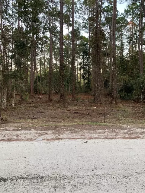 2415 Central Pkwy, Deland, FL 32724