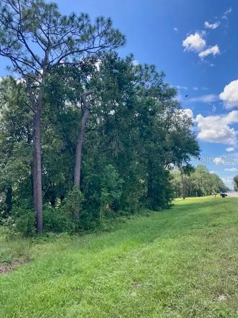 commonwealth avenue n, Polk City, FL 33868