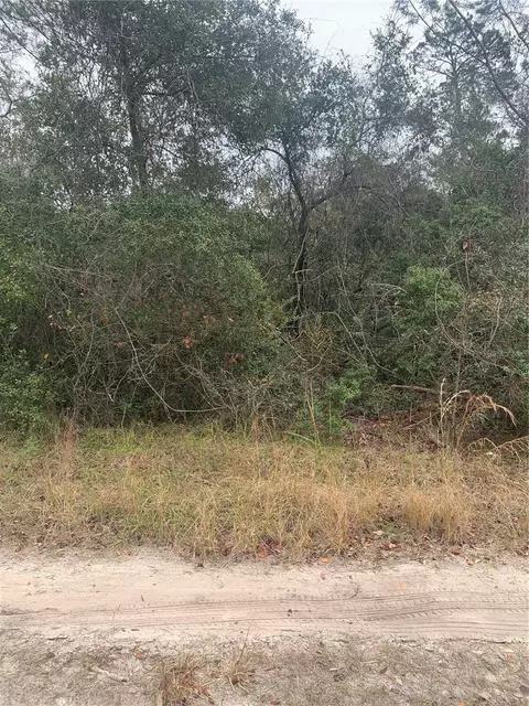 Cypress Street, Paisley, FL 32767