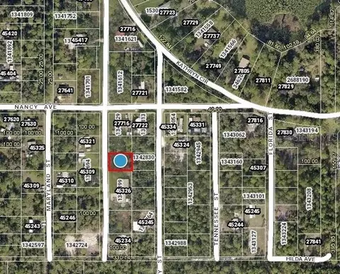 Pennsylvania Street, Paisley, FL 32767