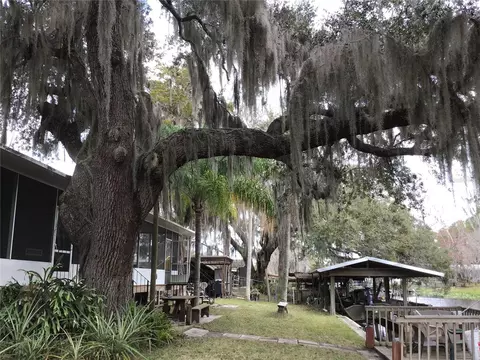 1659 Bass Ave, Seville, FL 32190