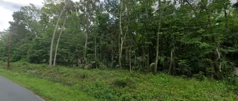 River Road, Astor, FL 32102