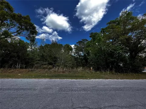 Lot 27&28 Timuquana Drive, Mount Plymouth, FL 32776