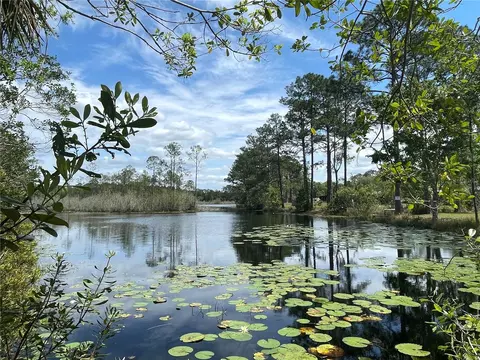 105 103 Seminole Trl, Georgetown, FL 32139
