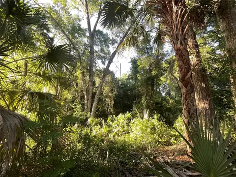 118 Nortons Fish Camp Rd, Satsuma, FL 32189