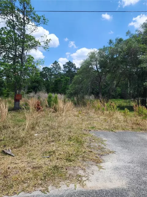 28540 Hibiscus Ave, Paisley, FL 32767