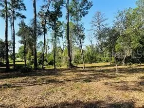 2350 Howland Blvd, Deltona, FL 32738