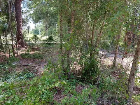 2000 Lake Juanita Rd, Seville, FL 32190