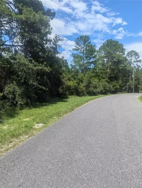 Forest Drive, Eustis, FL 32736