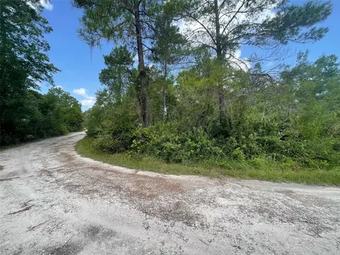 Hilda Avenue, Paisley, FL 32767