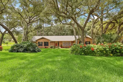 564 Black Ironwood Dr, Deland, FL 32724