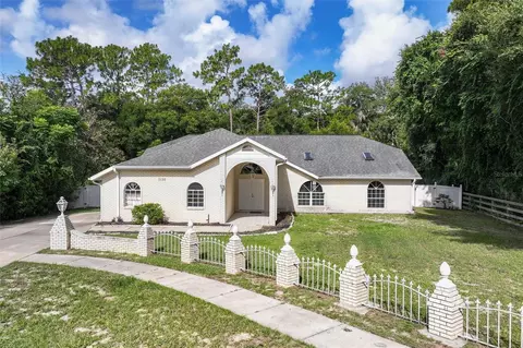 1130 Little Sparrow Ct, Orange City, FL 32763