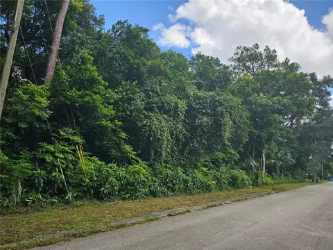 N Carpenter Avenue, Orange City, FL 32763