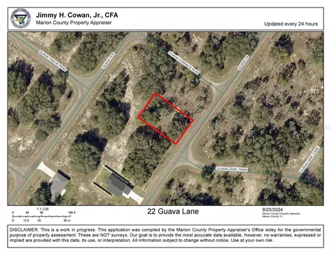 22 Guava Ln, Ocklawaha, FL 32179