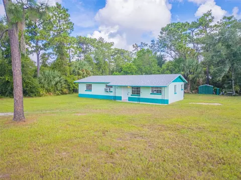 410 Collins Rd, Osteen, FL 32764