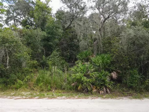 145 Bull Run Ave, Osteen, FL 32764