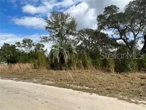 32206 3rd Ave, Deland, FL 32720