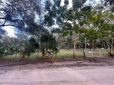 1720 N Leavitt Ave, Orange City, FL 32763