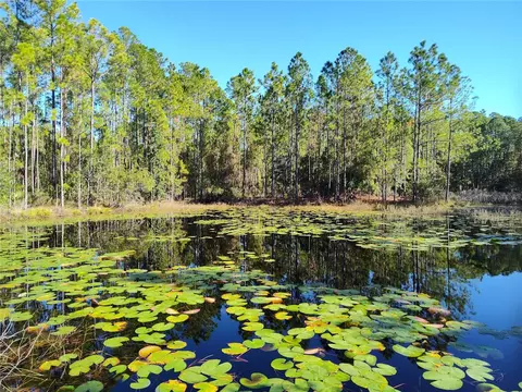 Smith Street, Astor, FL 32102