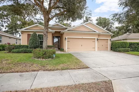 558 Morgan Wood Dr, Deland, FL 32724