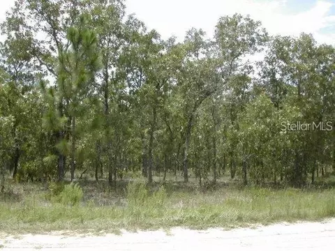 0 SW 125 Court Rd, Ocala, FL 34481