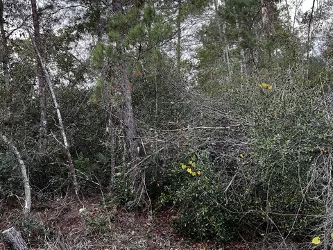 Apple Street, Eustis, FL 32736