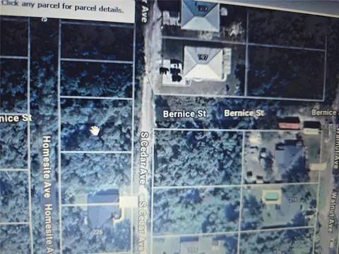 S Cedar Avenue, Orange City, FL 32763