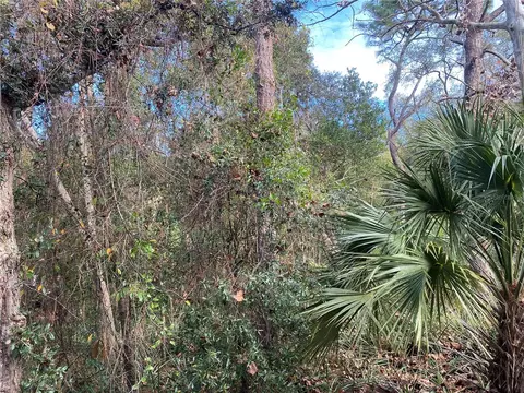 20 Th St, Orange City, FL 32763