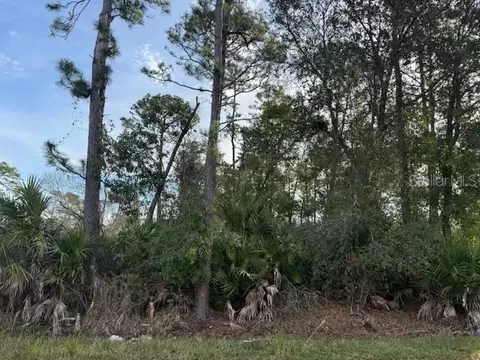1635 3rd, Deland, FL 32724