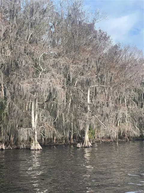233 Stella Rd, Georgetown, FL 32139 photo 4