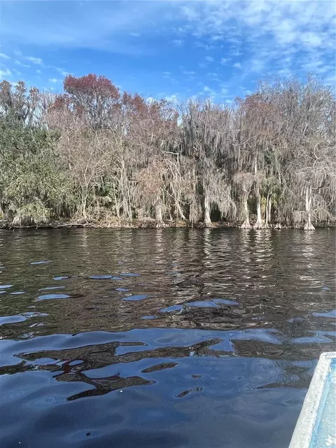 233 Stella Rd, Georgetown, FL 32139