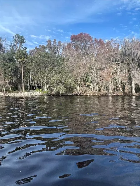 233 Stella Rd, Georgetown, FL 32139 photo 5