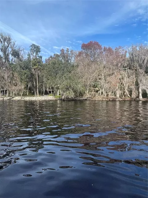 233 Stella Rd, Georgetown, FL 32139 photo 2