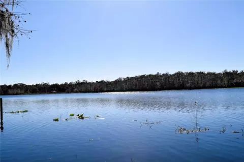 1289 Tall Pines Dr, Osteen, FL 32764