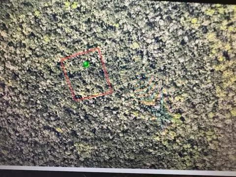 Undisclosed, Oak Hill, FL 32759
