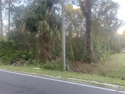S Volusia Avenue, Pierson, FL 32180