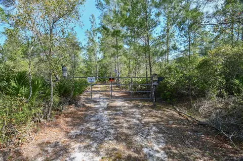 905 Still Rd, Pierson, FL 32180