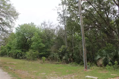 4346 Casaurina Rd, Lady Lake, FL 32159
