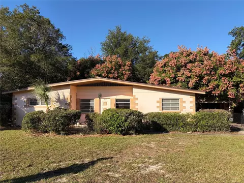 409 S Sparkman Ave, Orange City, FL 32763