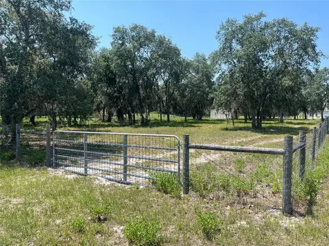Shaw Lake Road, Pierson, FL 32180