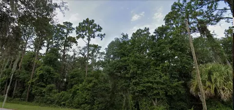 tbd SE 49th St, Ocklawaha, FL 32179