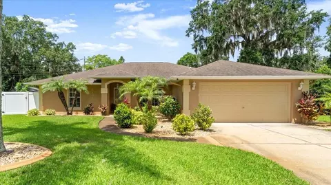 3132 Mango Tree Dr, Edgewater, FL 32141