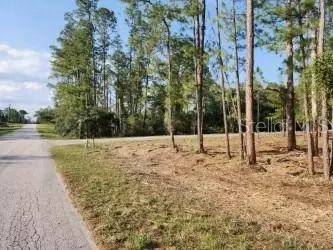 Aspen Street, Eustis, FL 32736