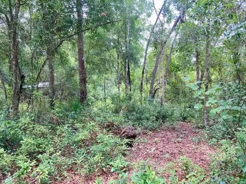 407 Raulerson Rd, Seville, FL 32190
