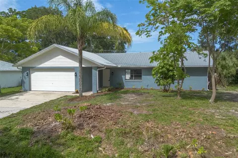 3117 Pine Tree Dr, Edgewater, FL 32141