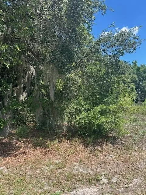 Marta Road, Debary, FL 32713