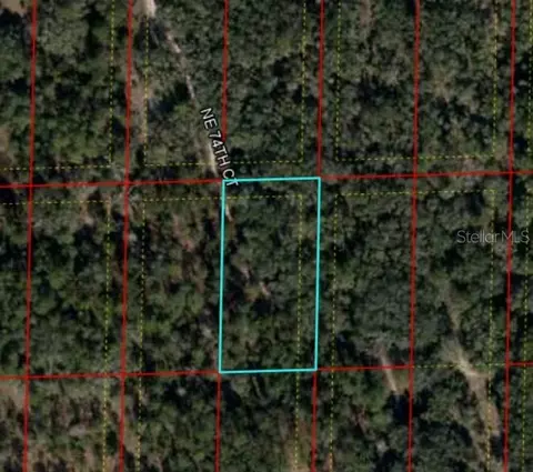 Bronson, Bronson, FL 32621